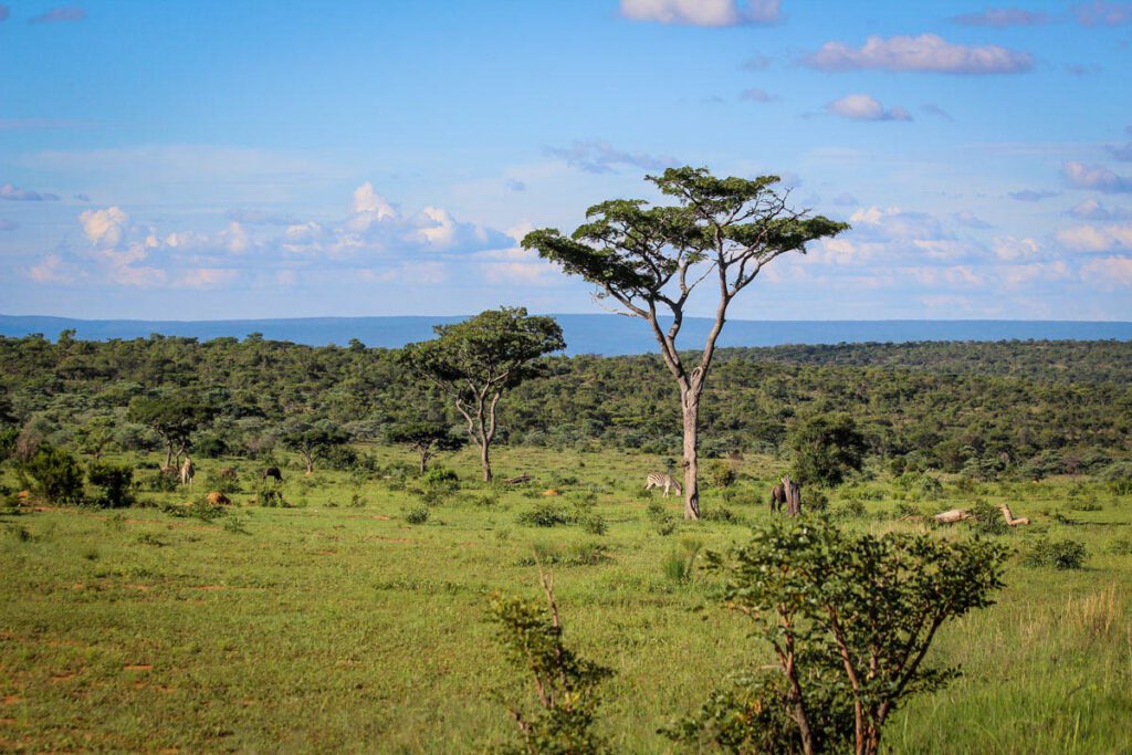 Game reserve South Africa