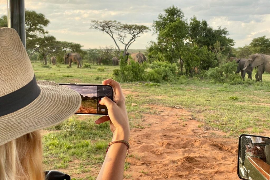 Game reserve South African safari