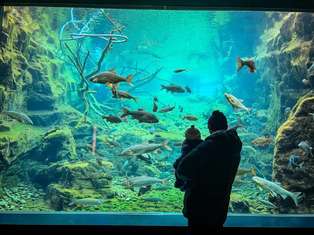 Innsbruck Alpine Zoo aquarium with a baby