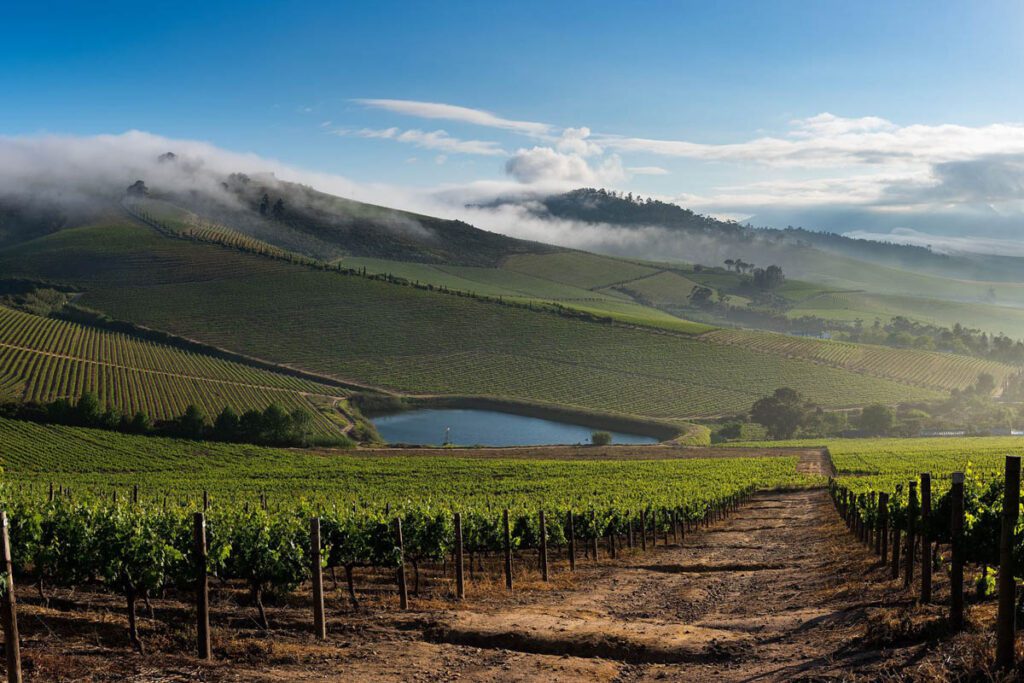 Jordan Wine Estate in Stellenbosch (website)