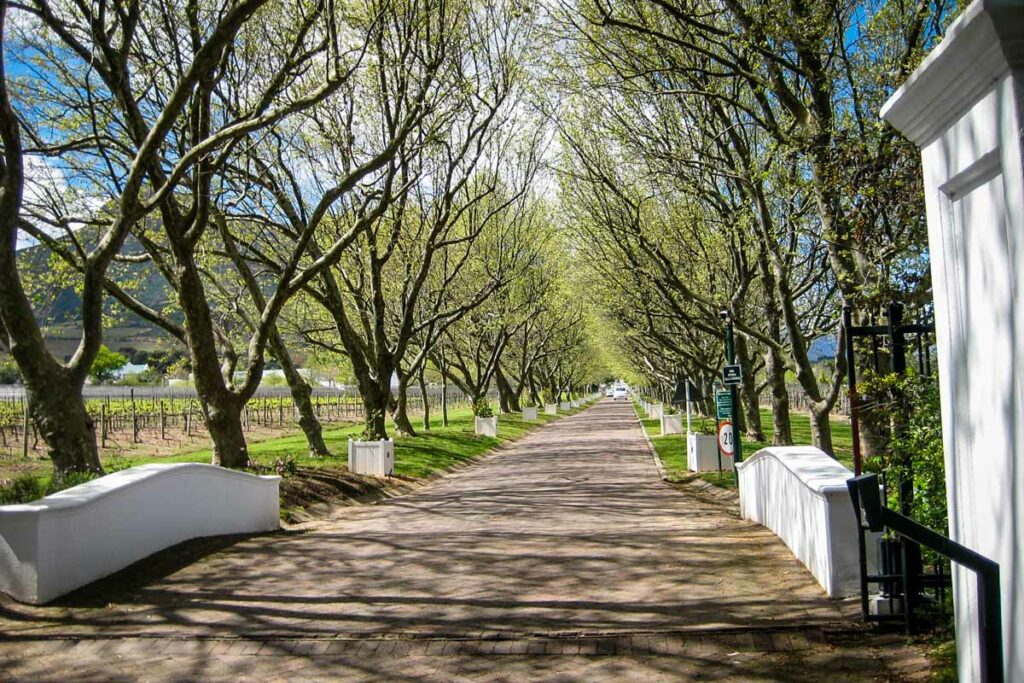 Lanzerac wine farm in Stellenbosch