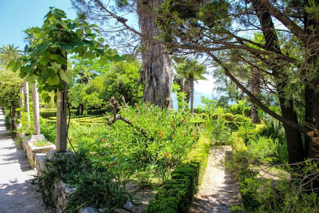 Trsteno Arboretum Croatia