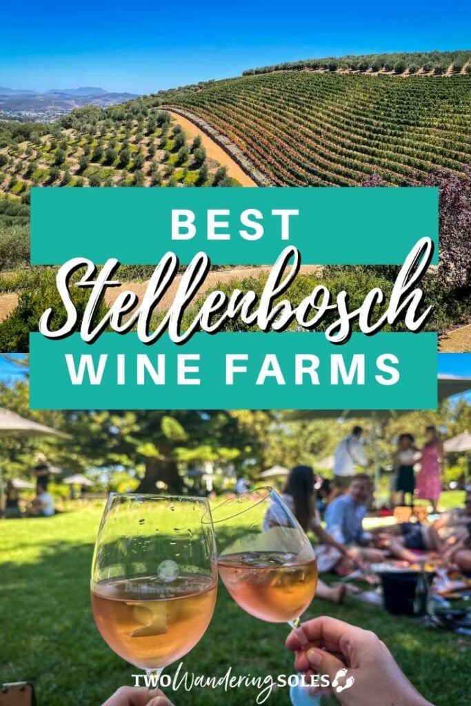 Wine Farms in Stellenbosch & Cape Winelands | Two Wandering Soles