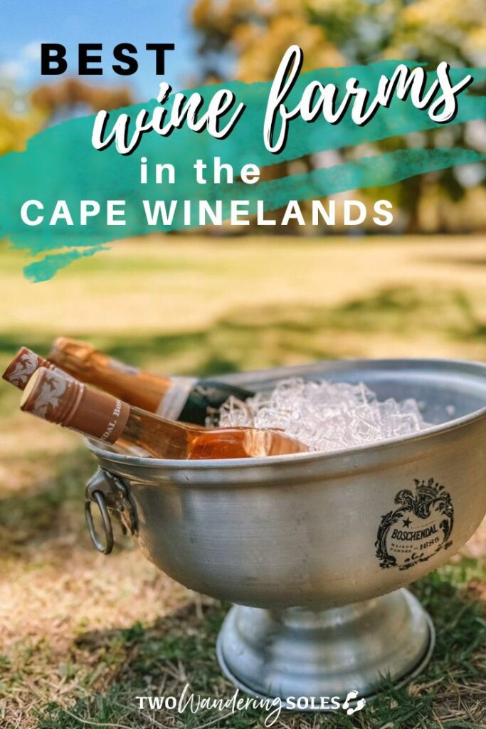Wine Farms in Stellenbosch & Cape Winelands | Two Wandering Soles