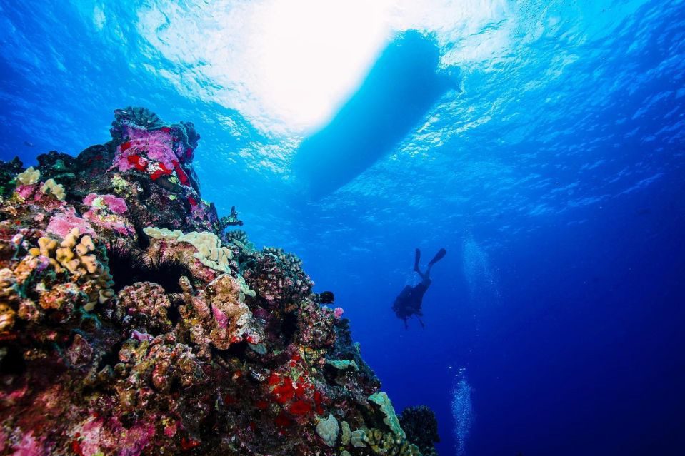 best tourist place in hawaii