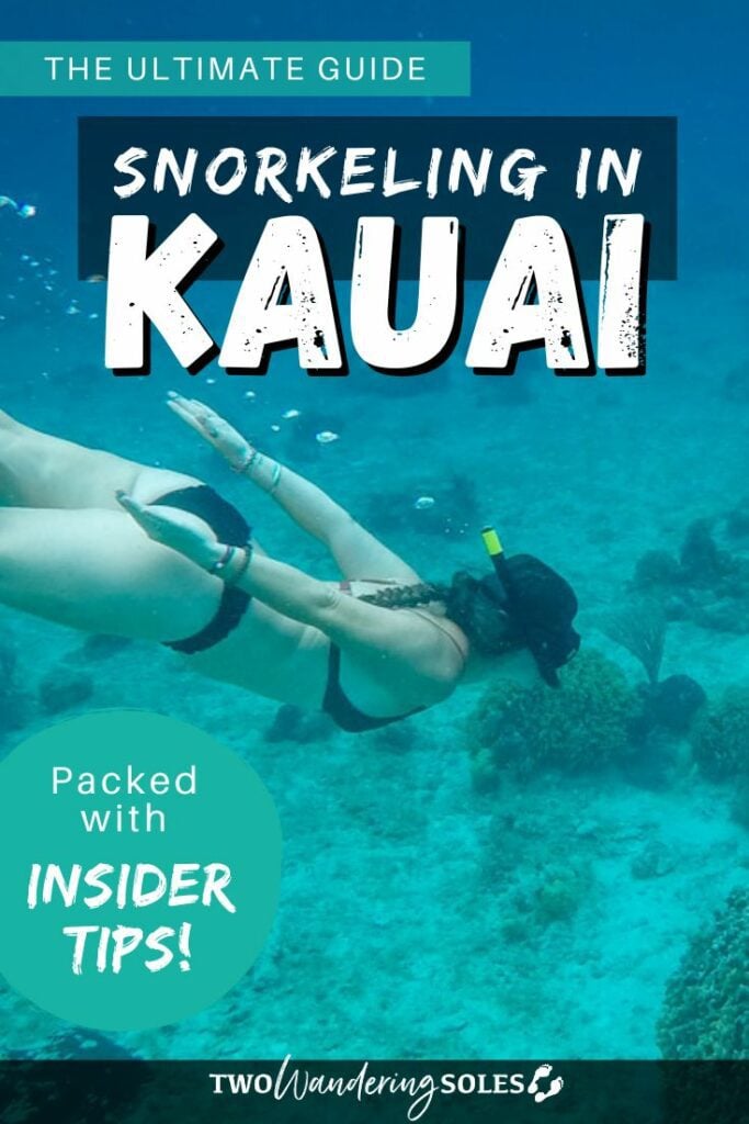 Best snorkeling in Kauai Pinterest