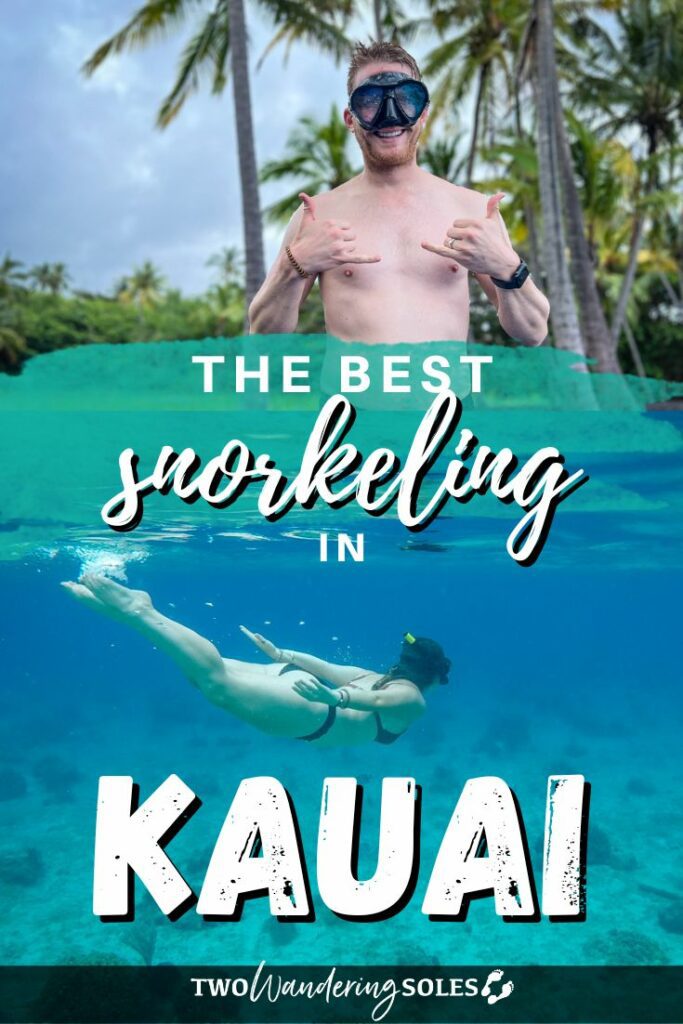 Best snorkeling in Kauai Pinterest