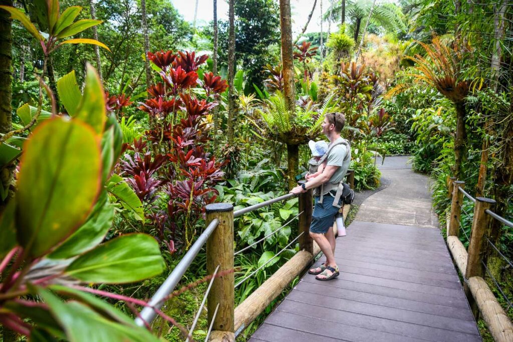 Botanical garden Big Island Hawaii