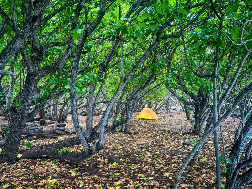 Kalalau Beach campsite