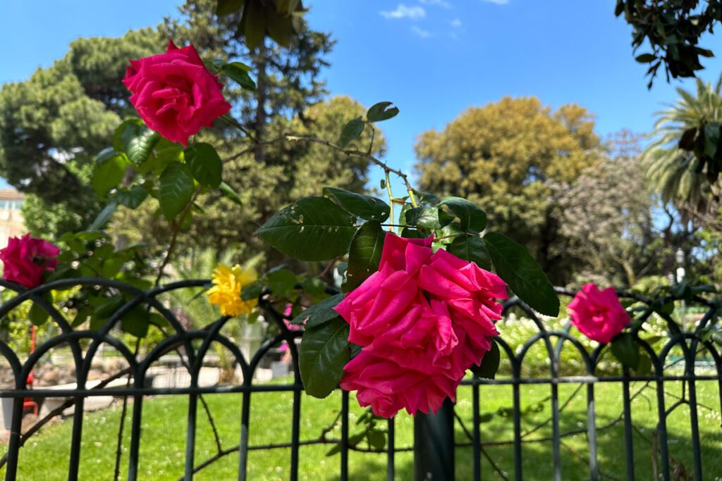 Borghese Gardens