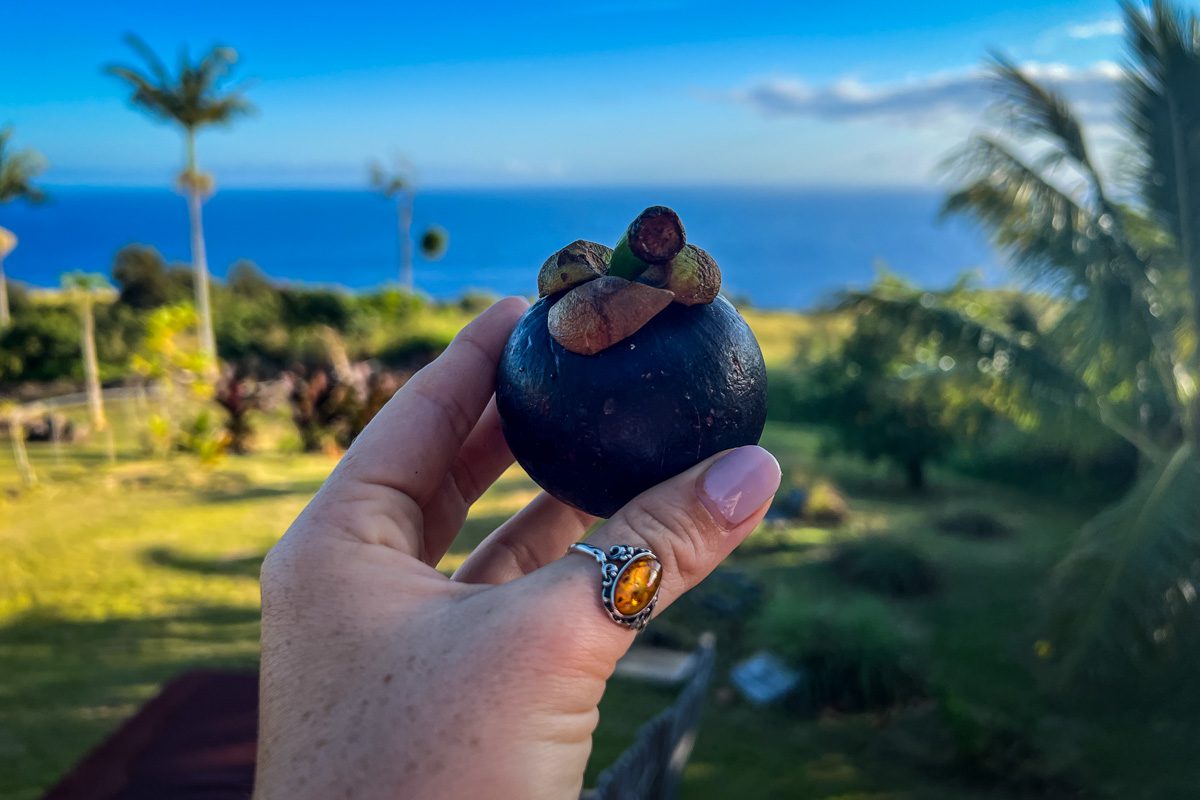 Mangosteen Hawaii