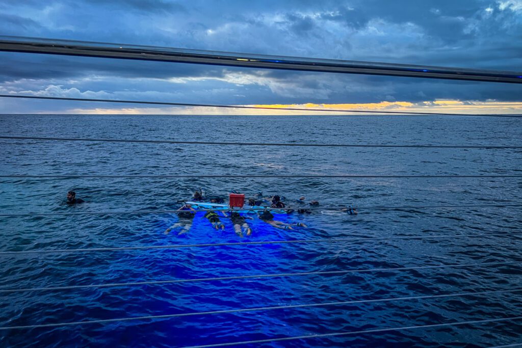 Manta ray snorkeling Kona Hawaii Big Island