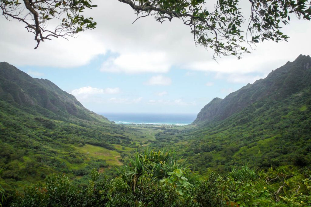 Jurassic Valley Kualoa Ranch Oahu Hawaii