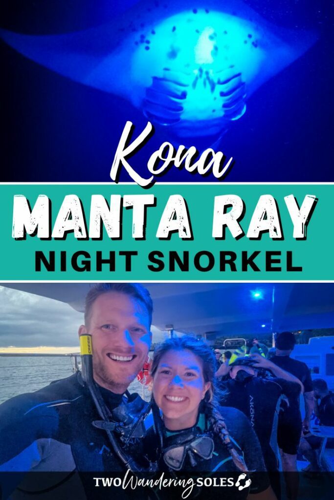 Manta ray snorkel Kona Pinterest