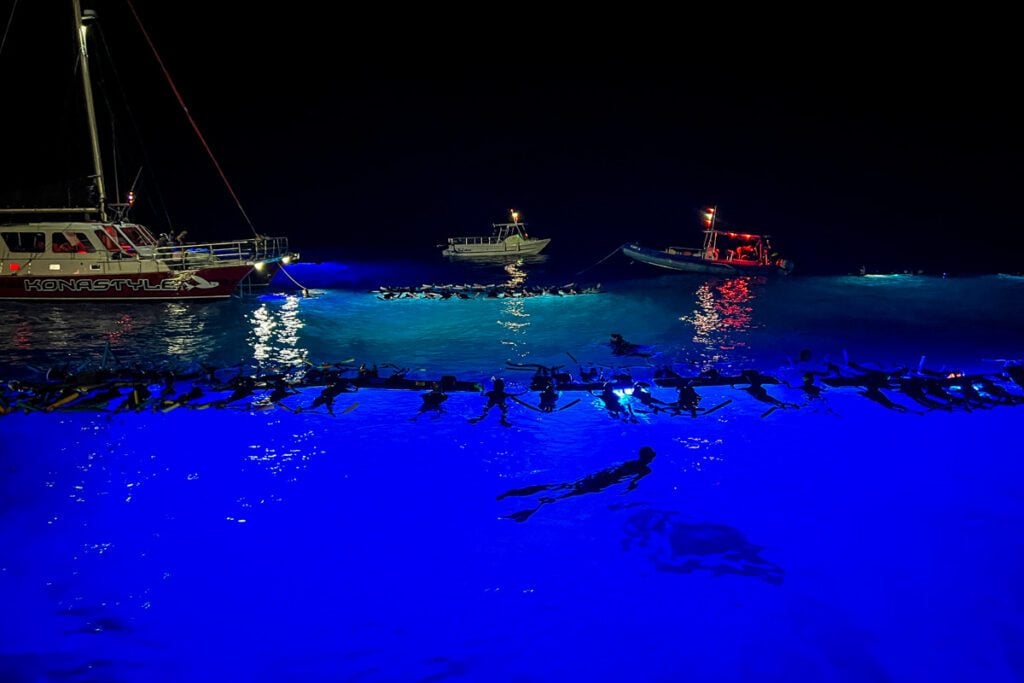 Manta ray snorkeling Kona Big Island Hawaii