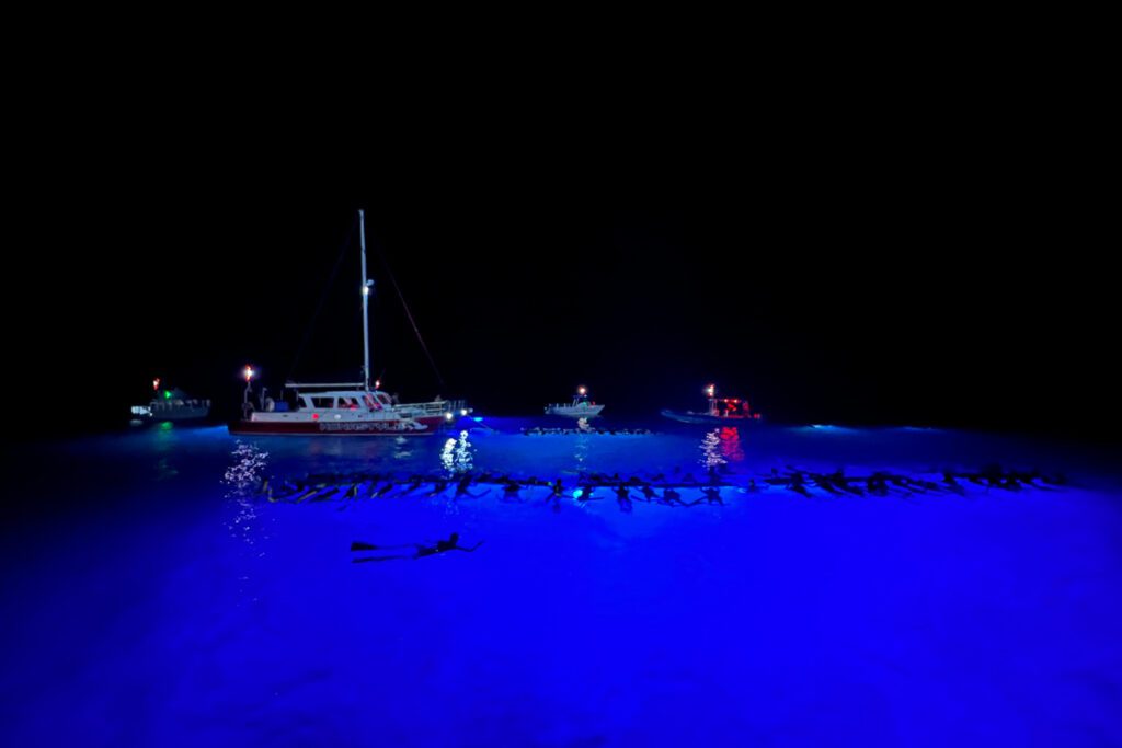 Manta snorkeling at night Hawaii