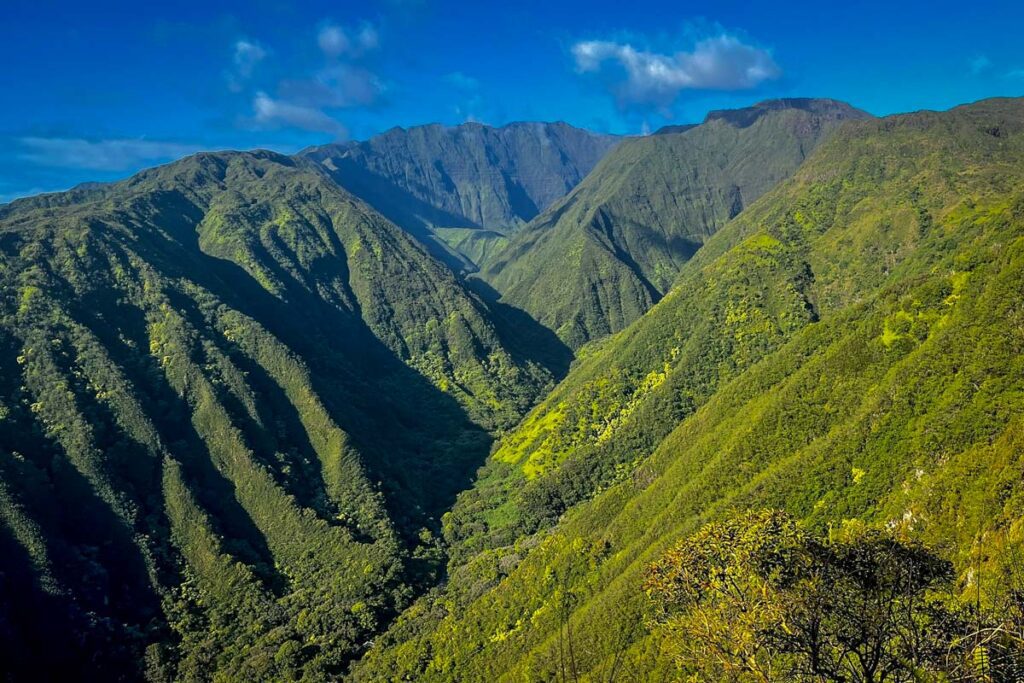 Waihe'e Ridge Trail Maui Hawaii 