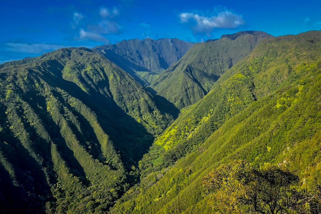 Waihe'e Ridge Trail Maui Hawaii