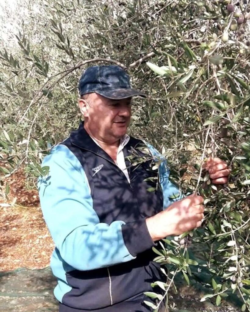 Olive Oil Production Tour (Airbnb)