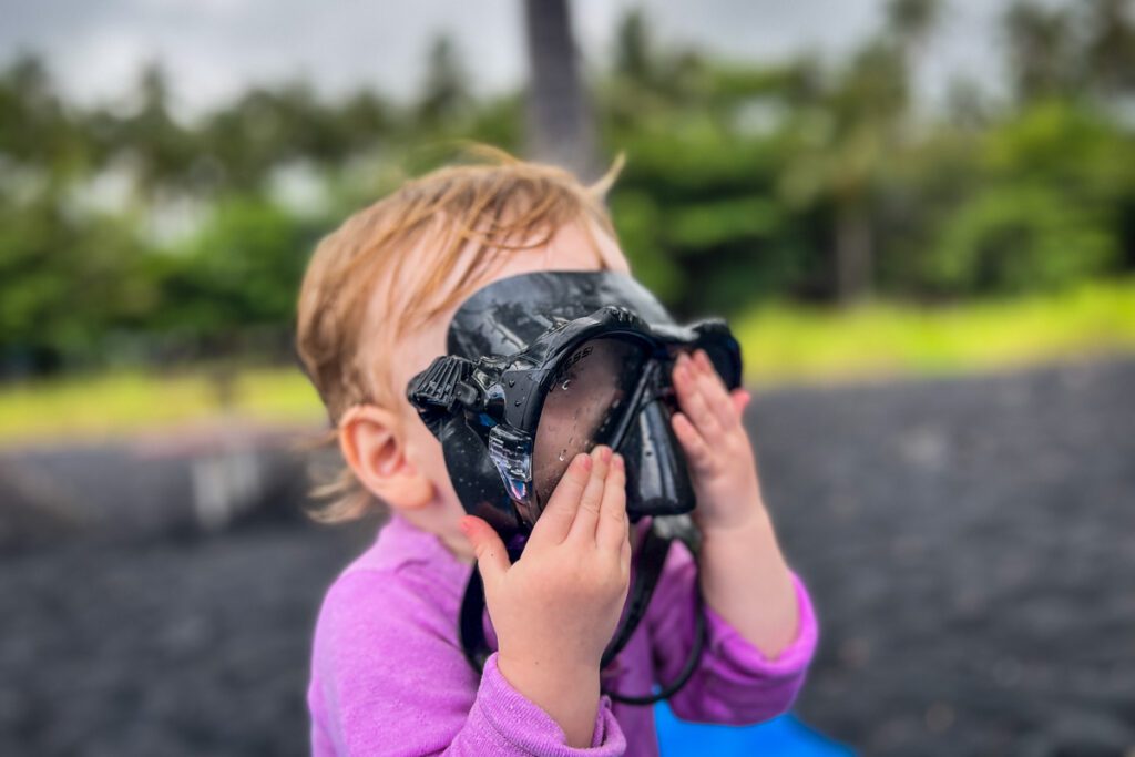 Punalu'u Black Sand Beach Hawaii Big Island