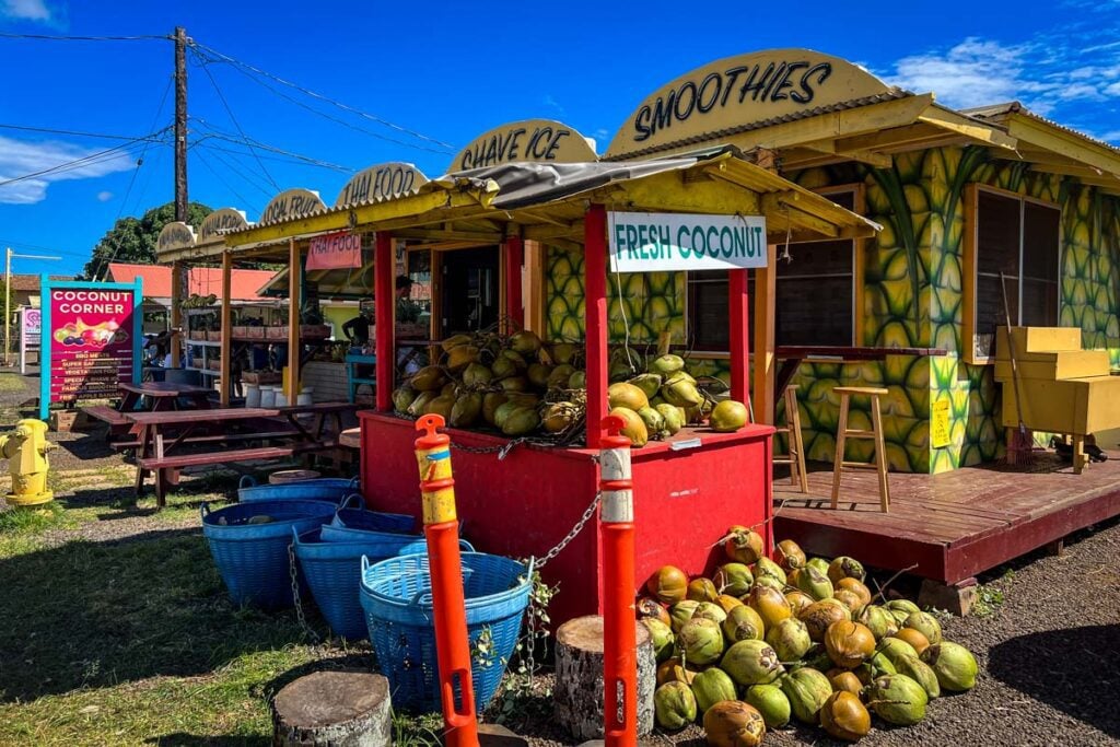 Coconut stand