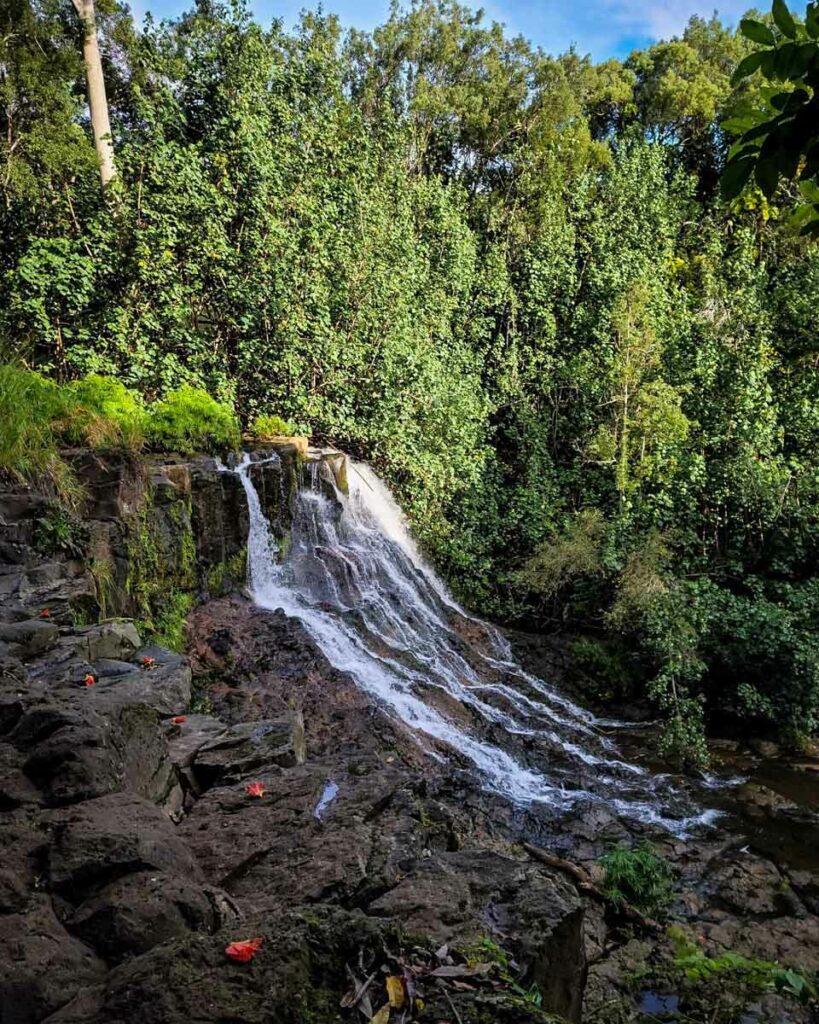 Hoopii Falls Trail (Kaitlin Francher)