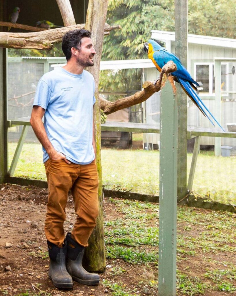 Parrots in Paradise Sanctuary (Airbnb)