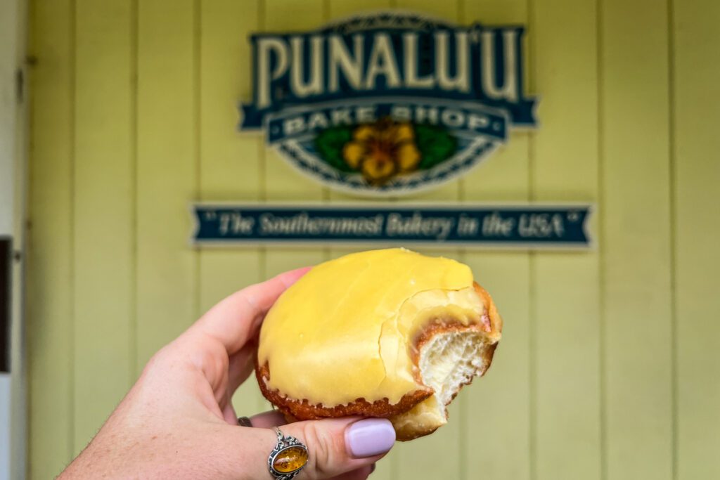 Punalu'u donut Big Island Hawaii