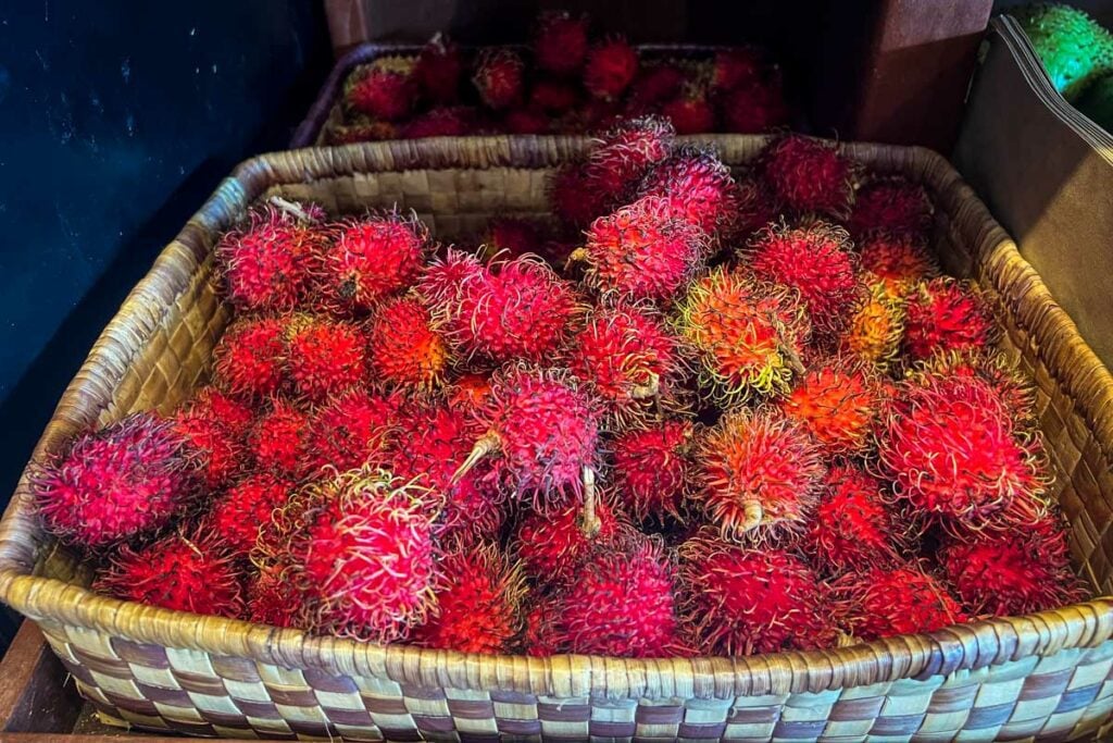 Rambutan Hawaiian fruit