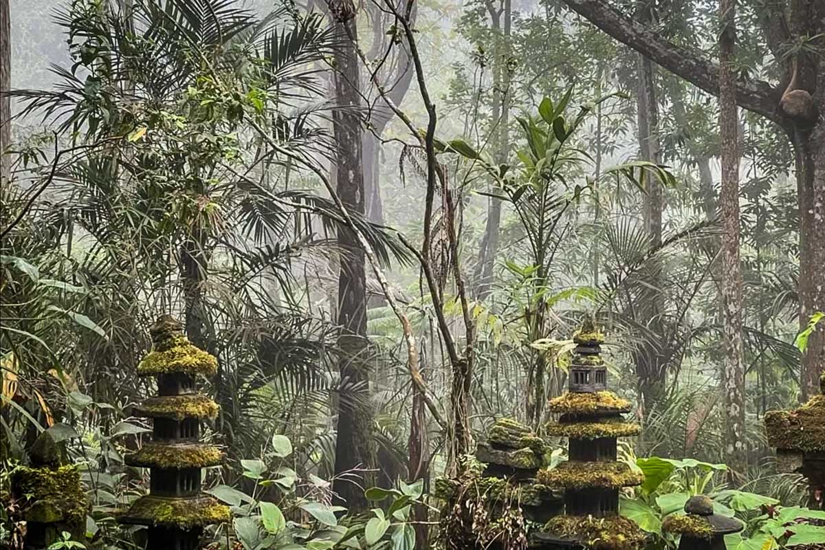 Kona Cloud Forest Sanctuary Hawaii Big Island