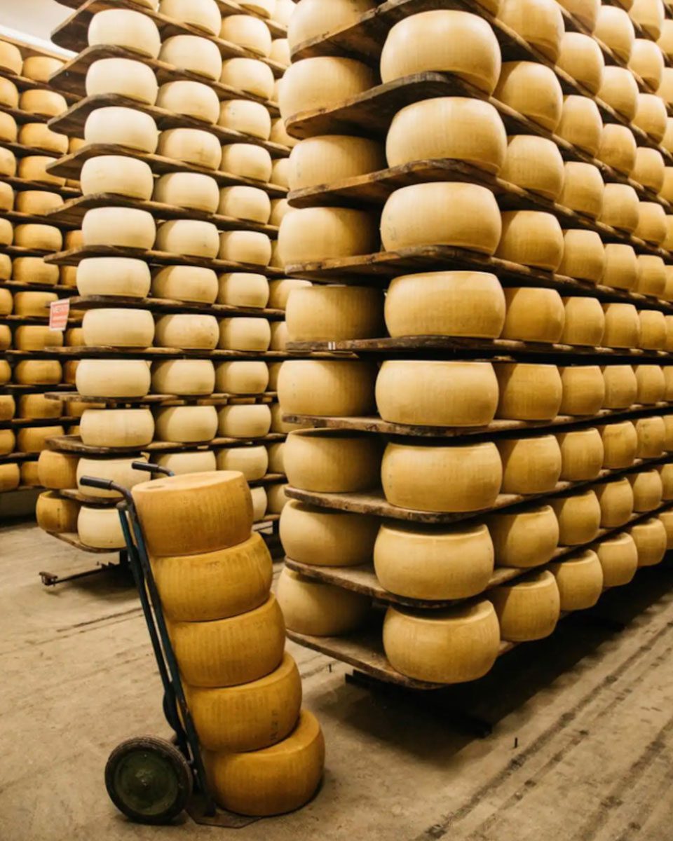 secrets of Parmigiano Reggiano (Airbnb)