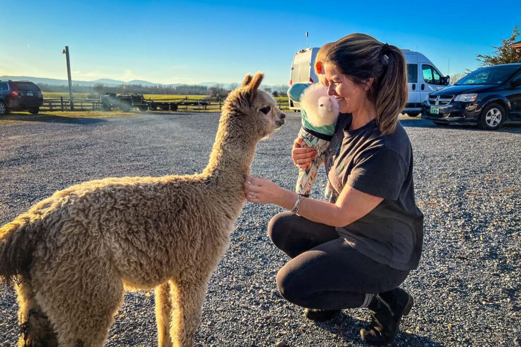 Vermont alpaca farm Harvest Hosts