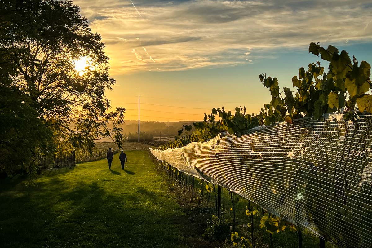 Harvest Hosts winery