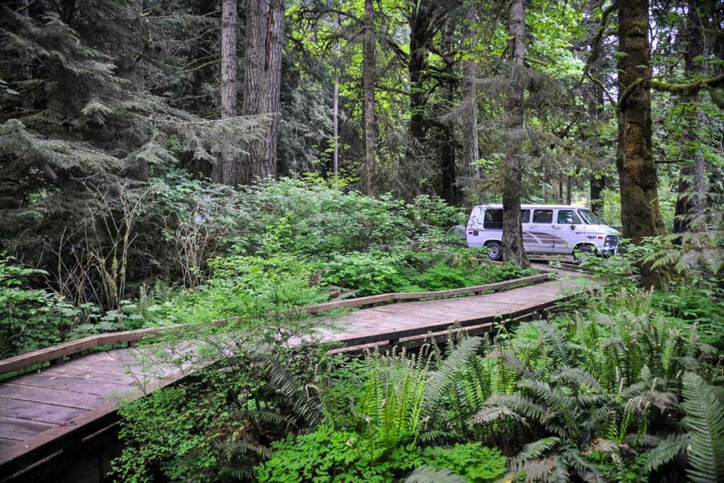 Olympic Peninsula campervan