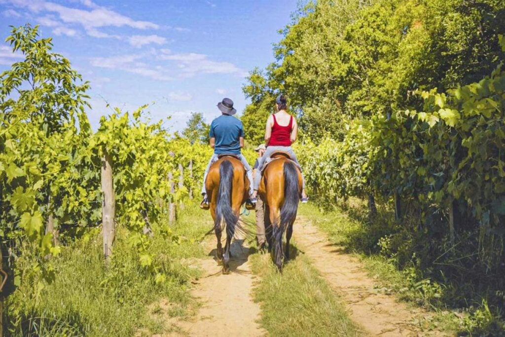 Tuscany Horseback Riding Tour (GYG)
