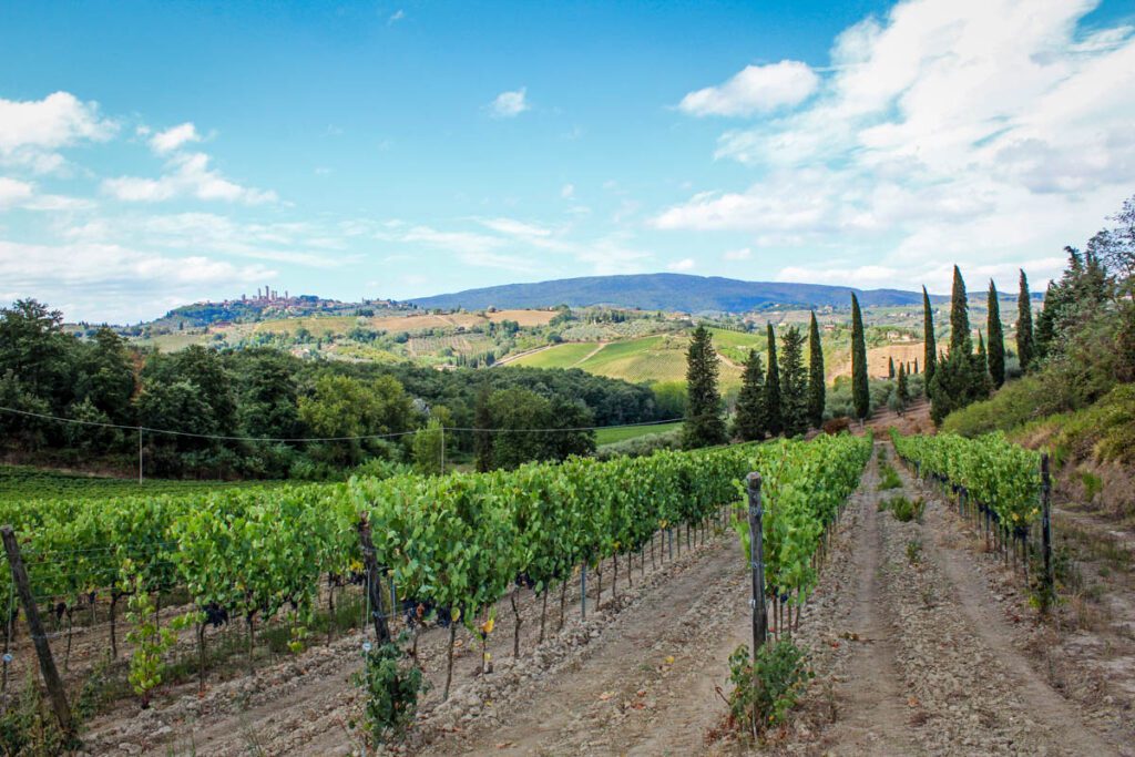 Tuscany wine country