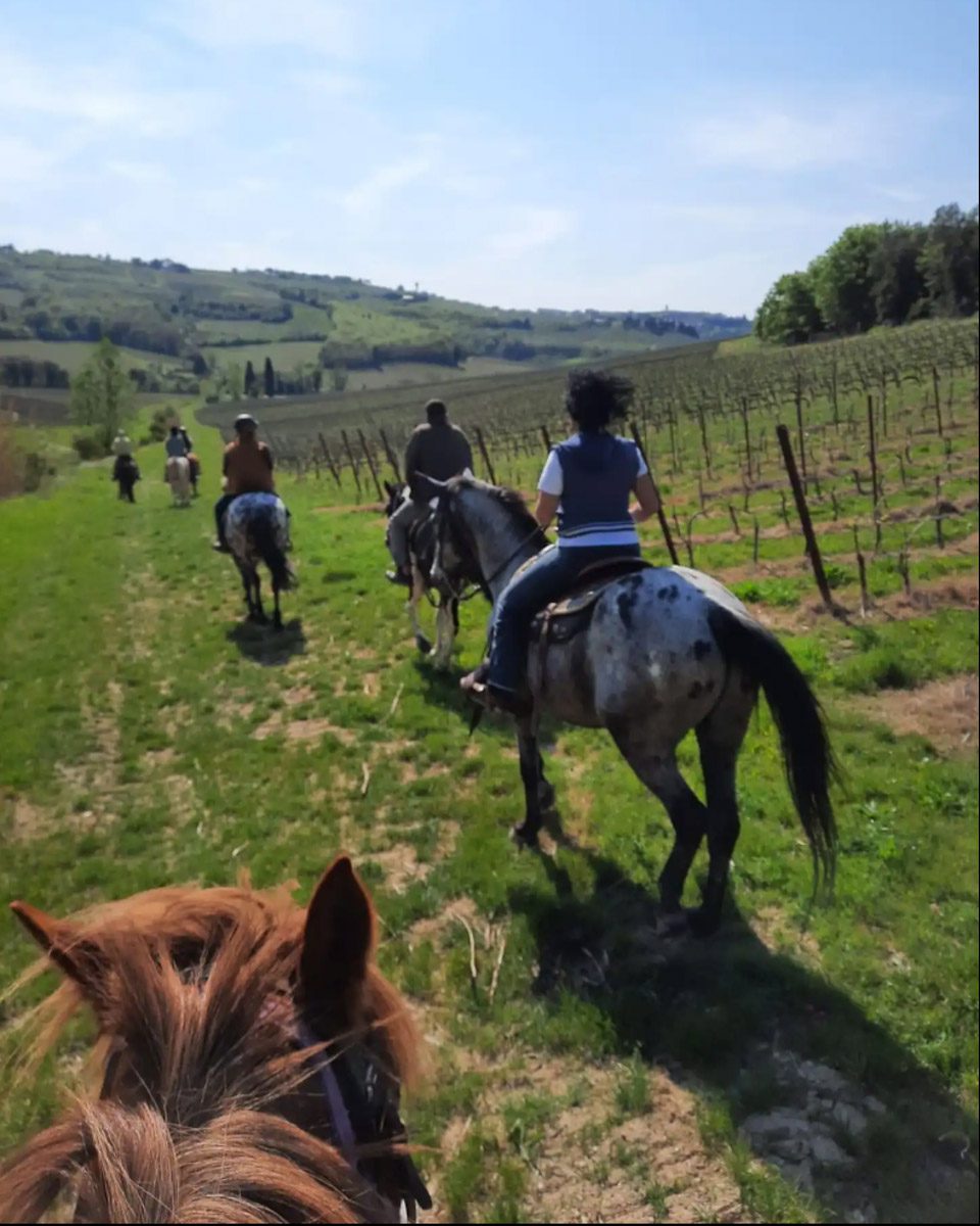 horseback riding (Airbnb)