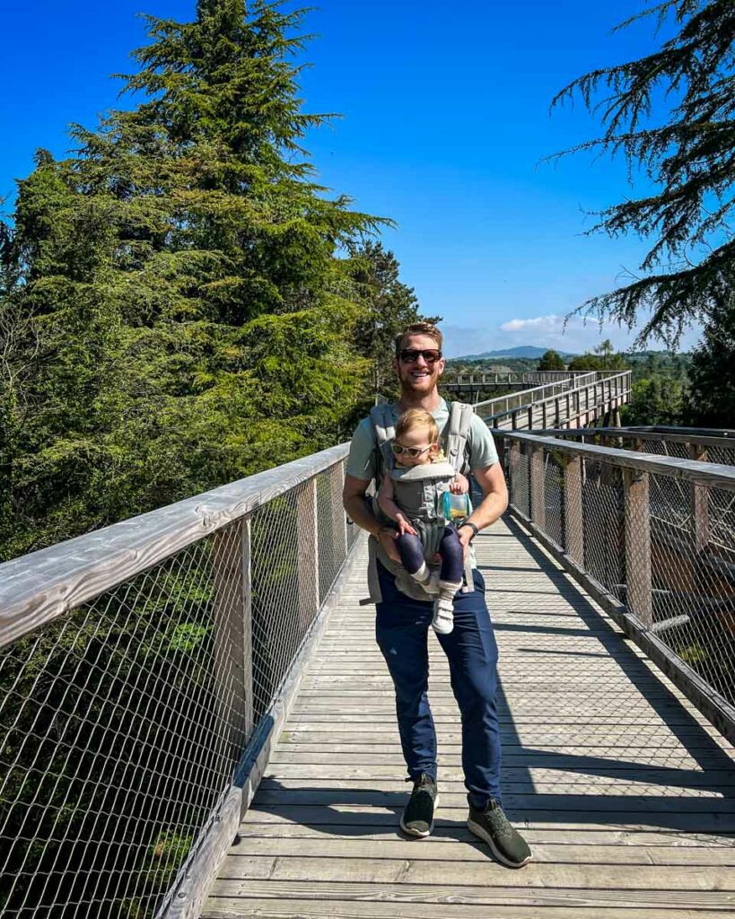 Beyond the Trees boardwalk Wicklow Ireland