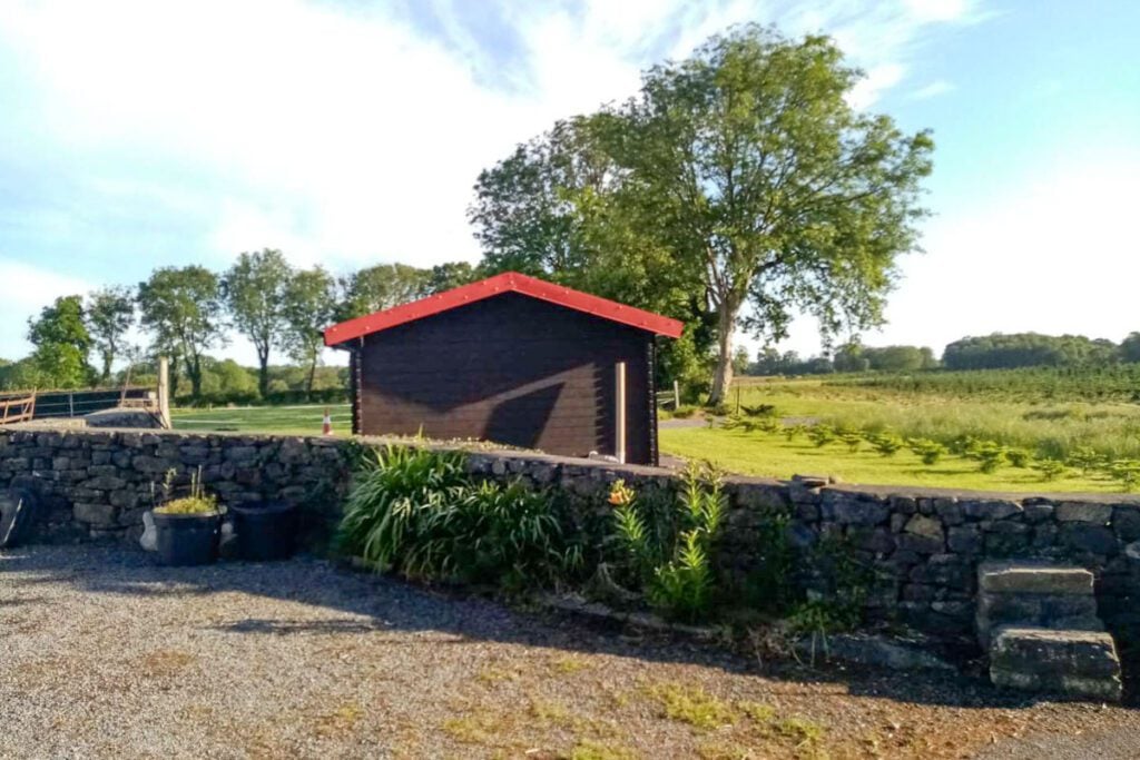 Christmas tree farm Ireland (AirBnb)