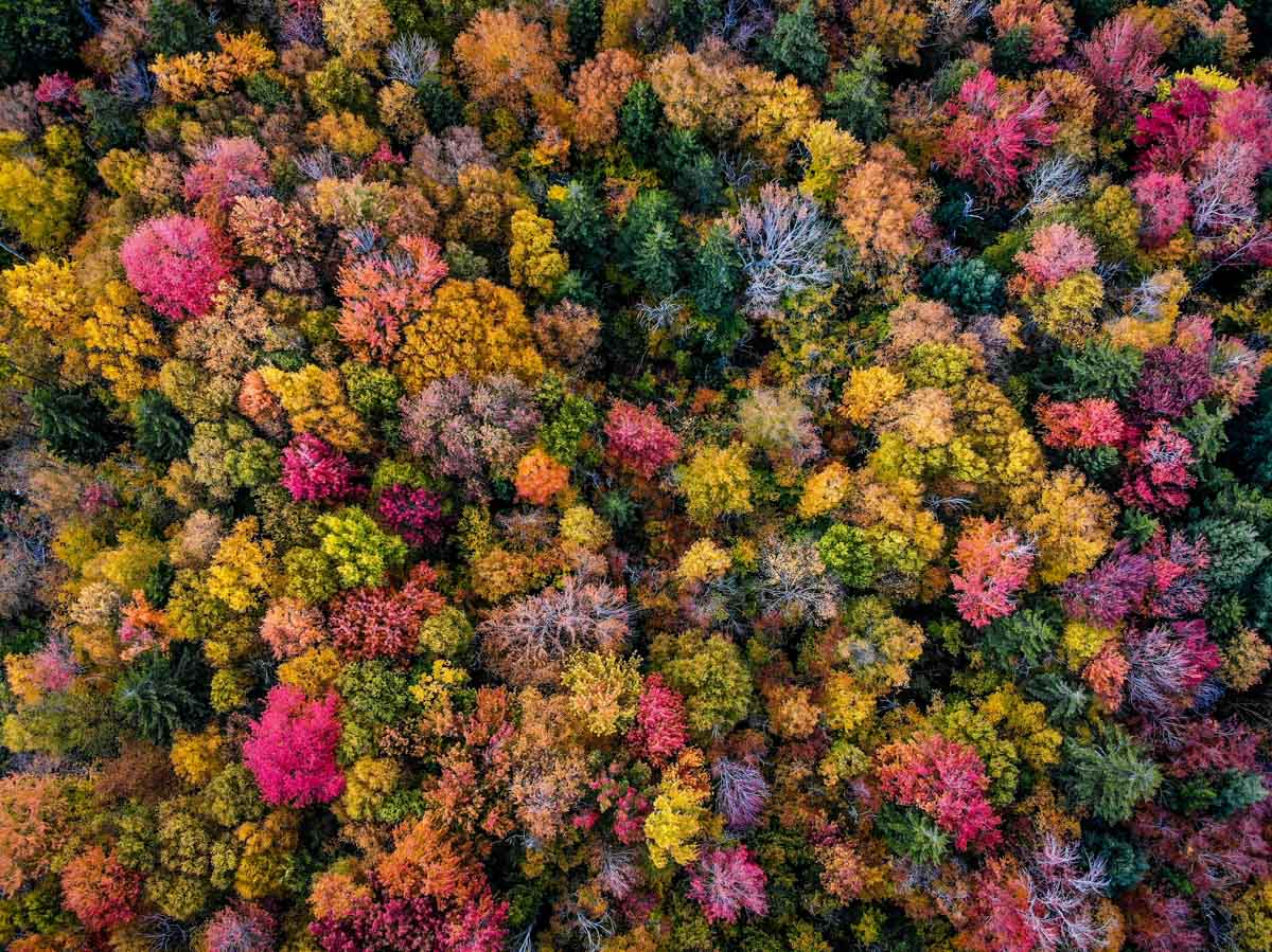 New England fall foliage