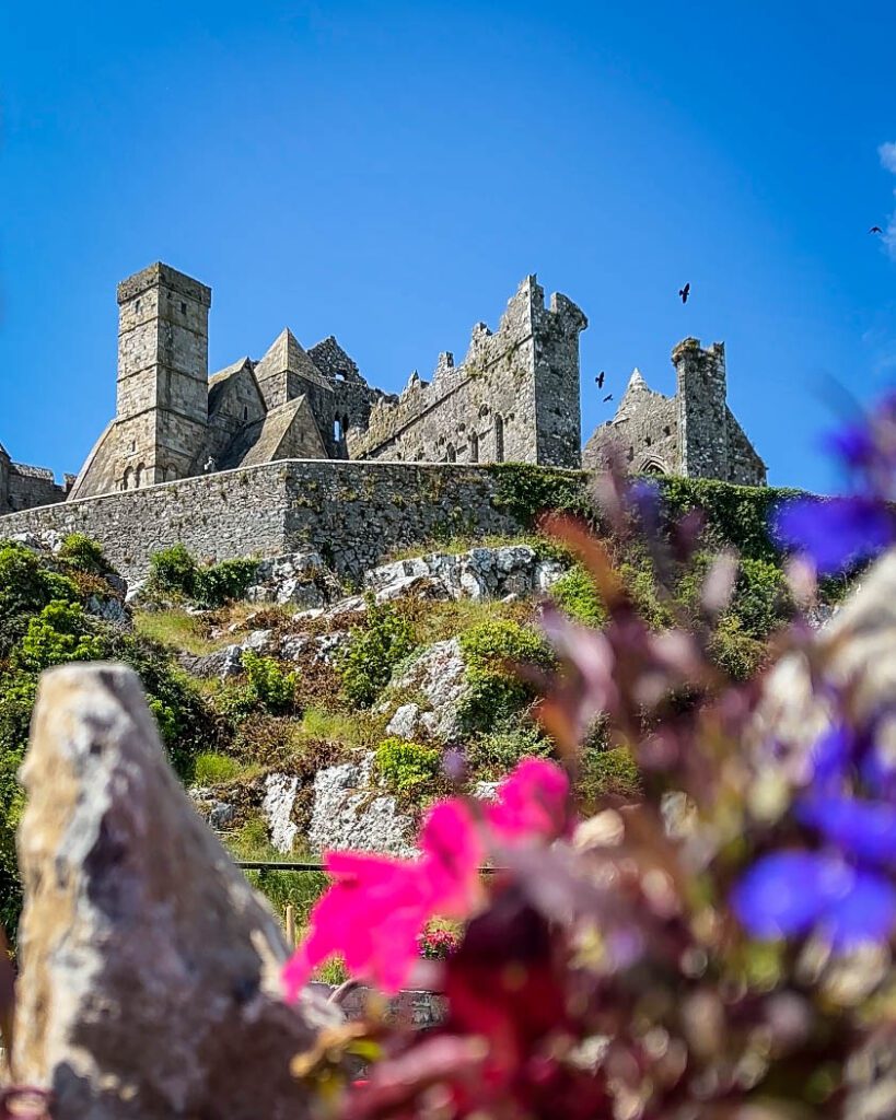 Rock of Cashel Ireland flowers