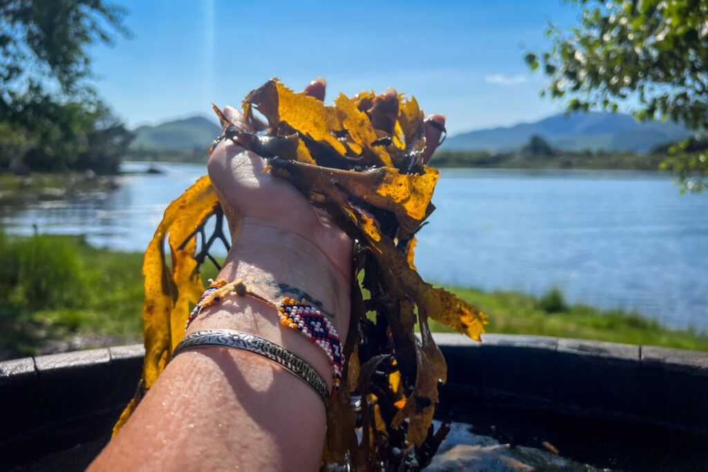 Sneem Seaweed Baths Ireland