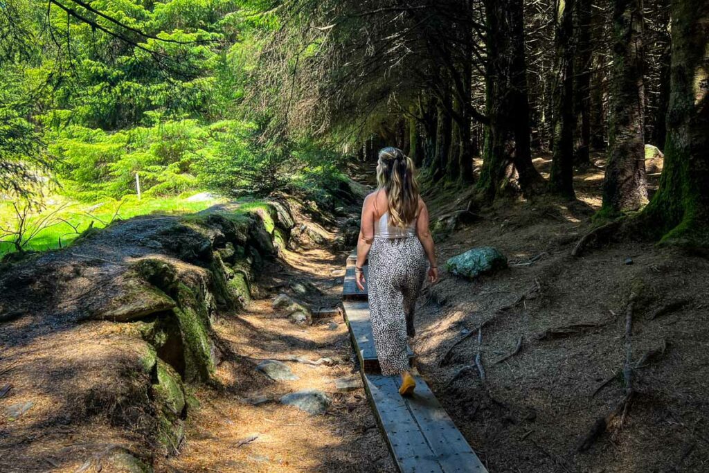 Ballinastoe Boardwalk Wicklow National Park Ireland