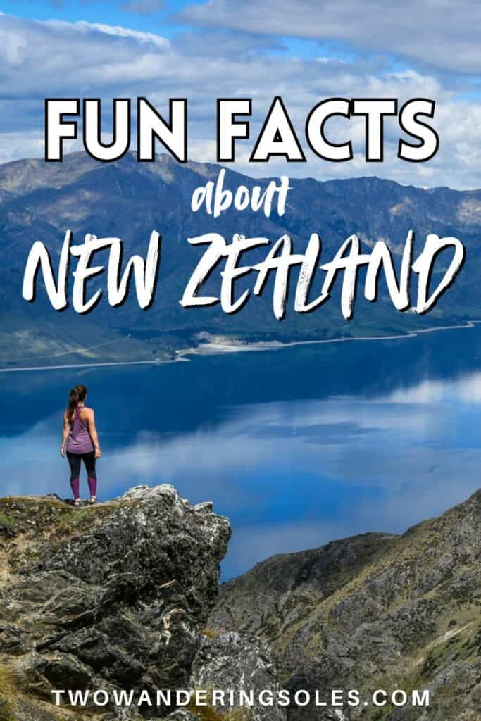 Fun Facts About New Zealand | Two Wandering Soles