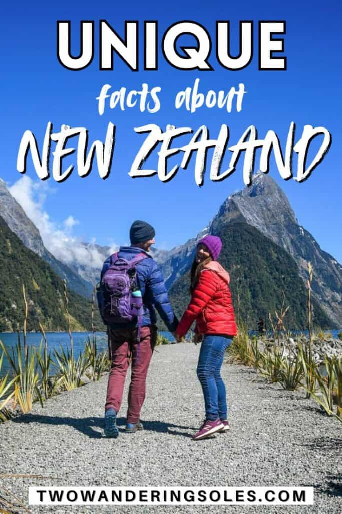Fun Facts About New Zealand | Two Wandering Soles