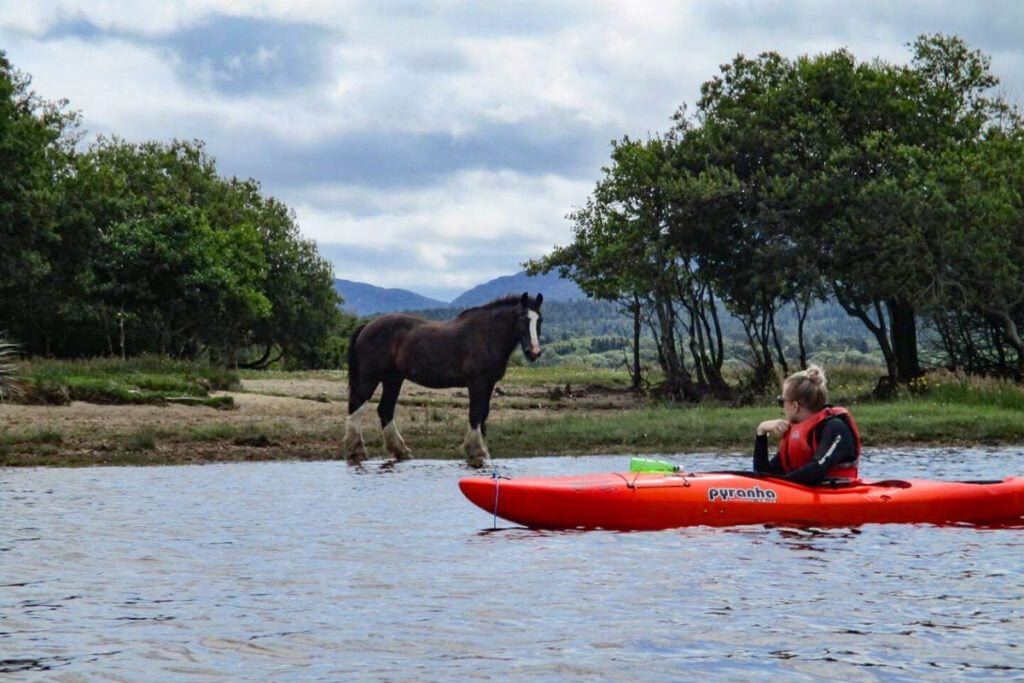 Killarney Lakes kayaking Co Kerry Ireland (Airbnb)