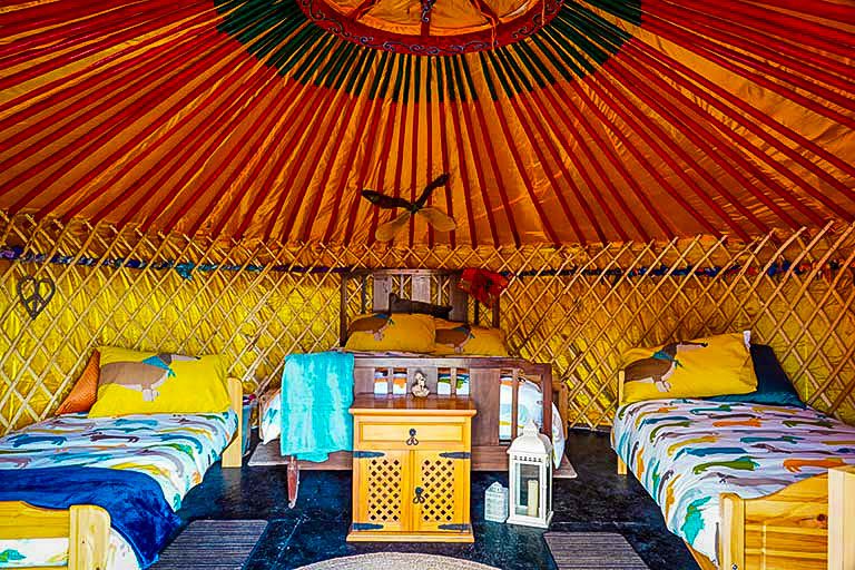 Willowbrook Glamping Ireland