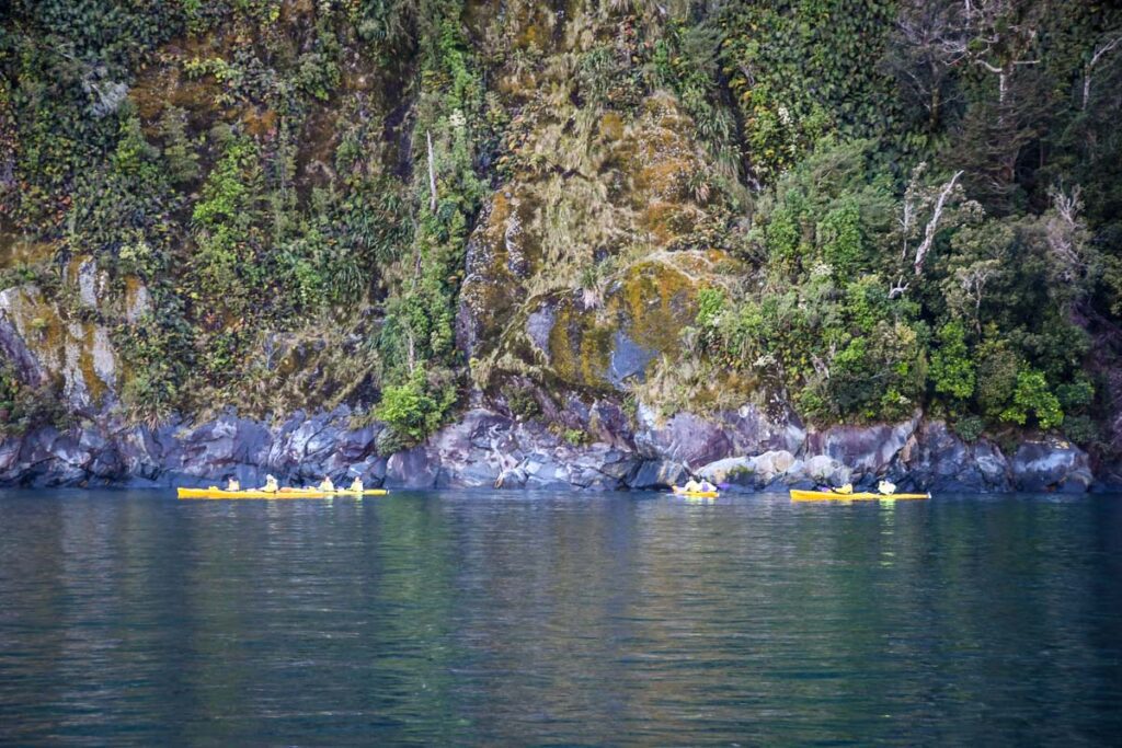 Milford Sound kayaking New Zealand