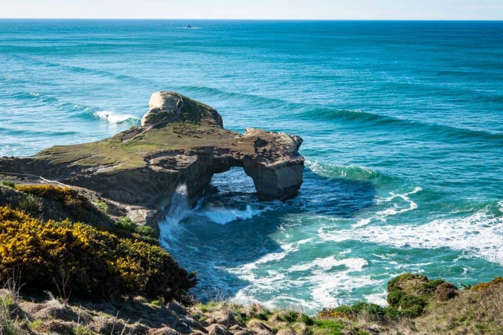 Dunedin New Zealand South Island