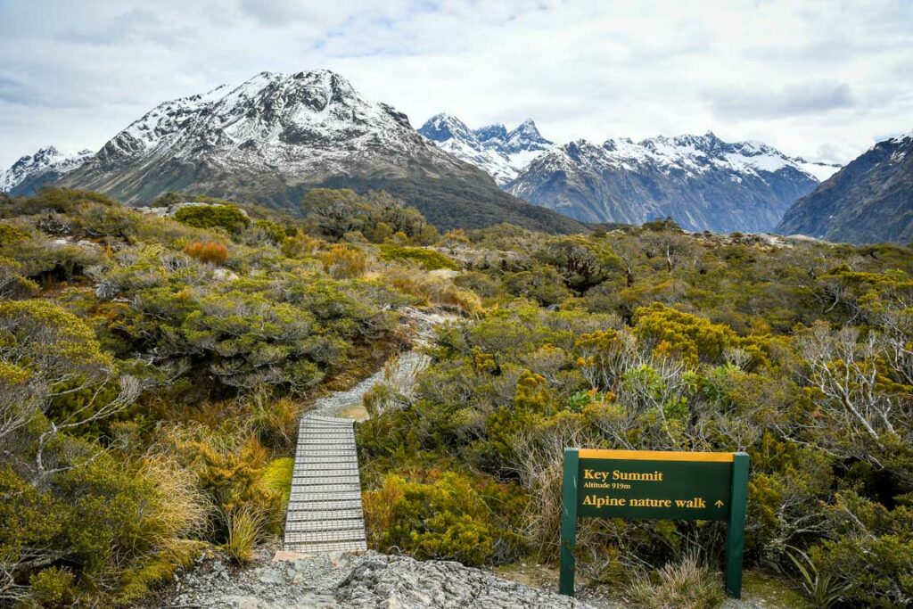 Key Summit trail Milford Road New Zealand